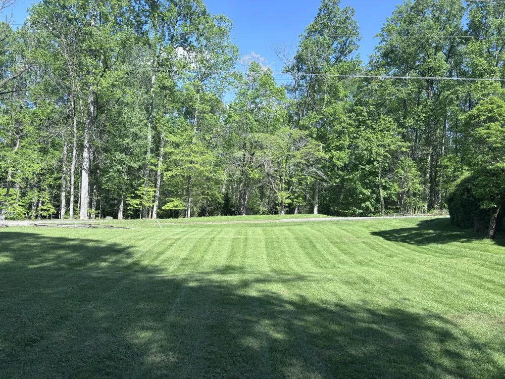 Professional yard maintenance for year-round maintenance in Hiawassee, GA by Mountain Adventure Landscaping