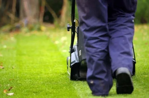 Top-rated outdoor landscaping in Mountain Brook, AL by Mountain Brook Lawn Care and Maintenance