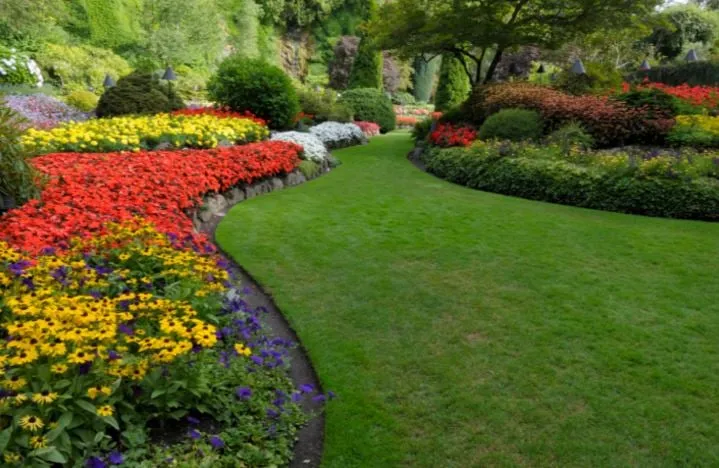 Expert landscape installation in Mountain Brook, AL by Mountain Brook Lawn Care and Maintenance