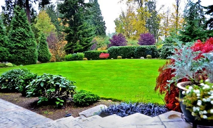 Top-rated landscape design experts serving Mountain Brook, AL - Mountain Brook Lawn Care and Maintenance