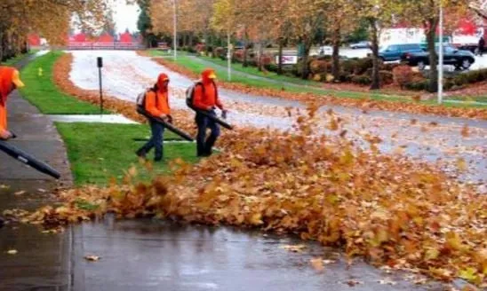 Expert residential landscaping experts serving Mountain Brook, AL - Mountain Brook Lawn Care and Maintenance