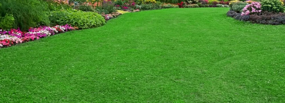 Reliable landscaping services experts serving Mountain Brook, AL - Mountain Brook Lawn Care and Maintenance