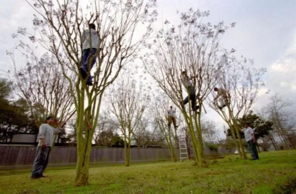 Professional residential landscaping for homes across Mountain Brook, AL - Mountain Brook Lawn Care and Maintenance