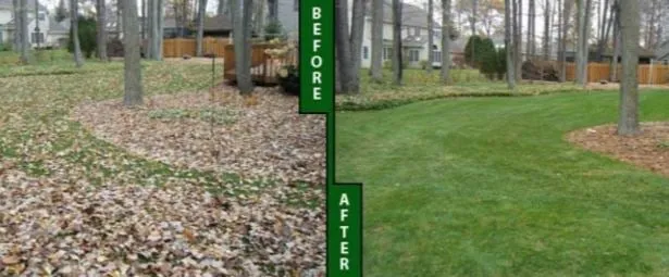 Affordable yard cleanup service in Mountain Brook, AL by Mountain Brook Lawn Care and Maintenance