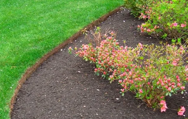 Expert lawn care service in Mountain Brook, AL - Mountain Brook Lawn Care and Maintenance