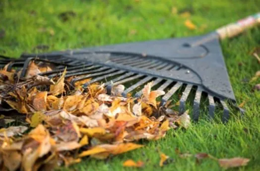 Top-rated outdoor landscaping in Mountain Brook, AL by Mountain Brook Lawn Care and Maintenance