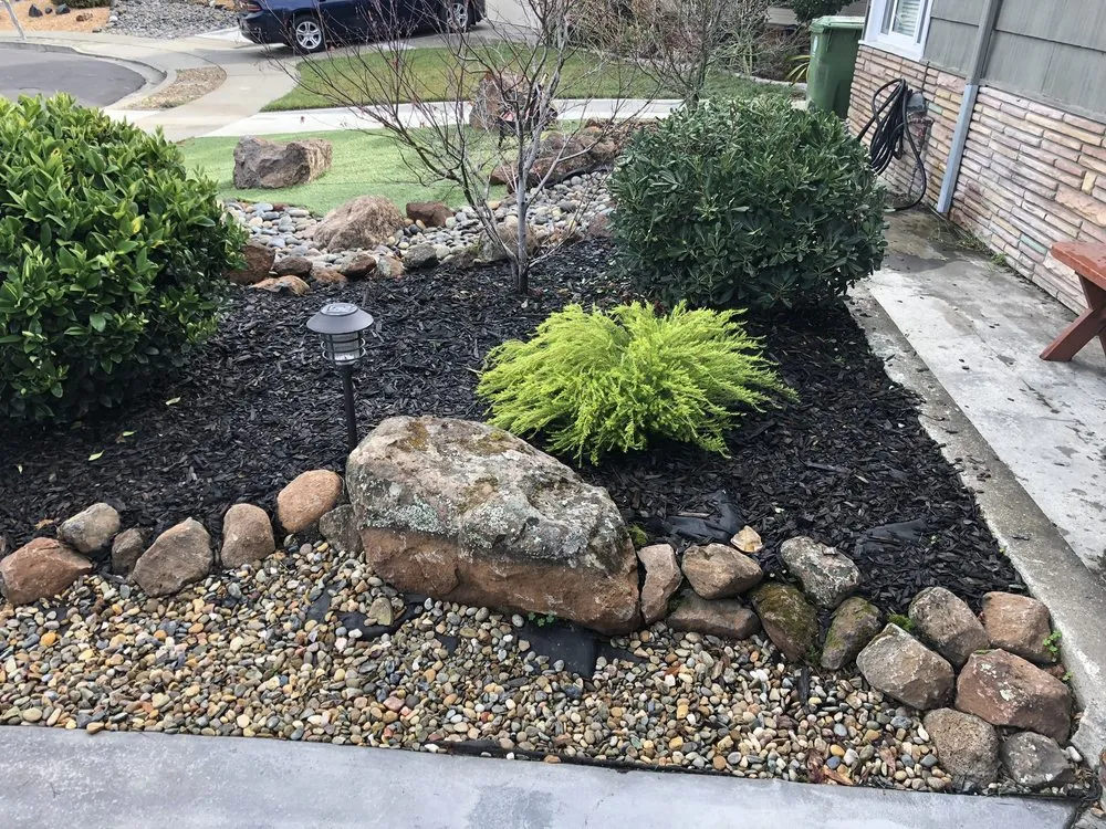 Reliable yard cleanup service in San Leandro, CA by Mountain Concrete