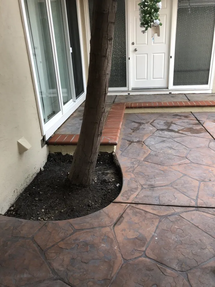 Top-rated landscape installation in San Leandro, CA by Mountain Concrete