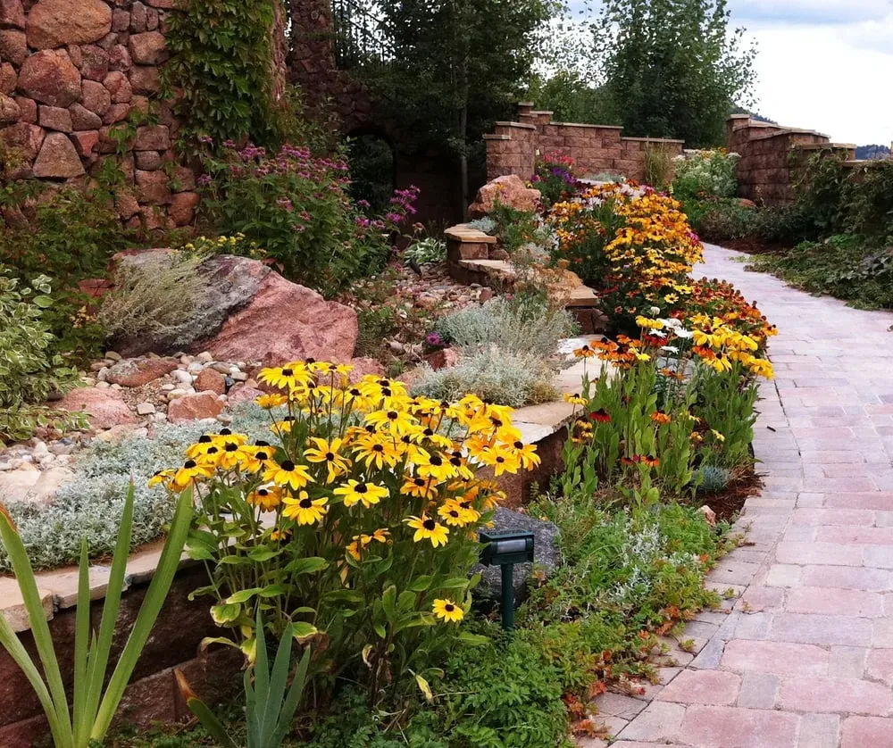 Professional yard cleanup service for outdoor upgrades across Littleton, CO - Mountain DesignScapes