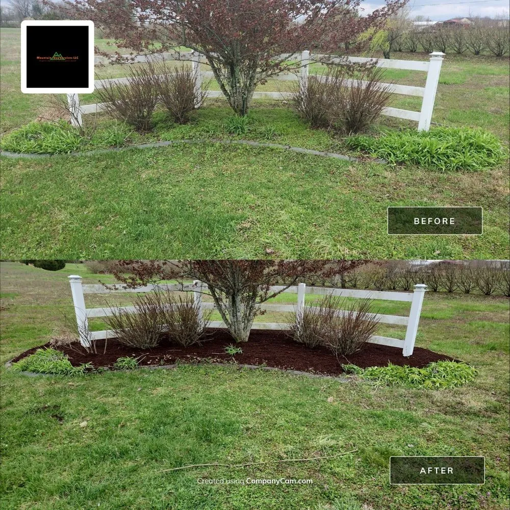 Local lawn mowing service in Sparta, TN by Mountain-Dog Services