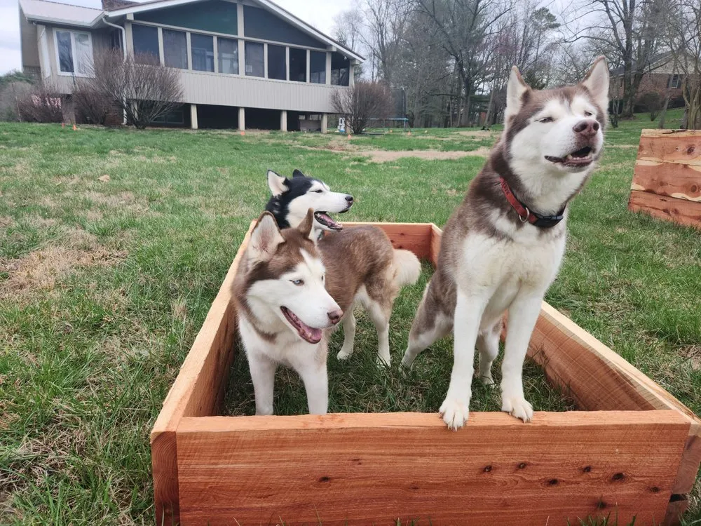 Trusted landscape installation experts serving Sparta, TN - Mountain-Dog Services