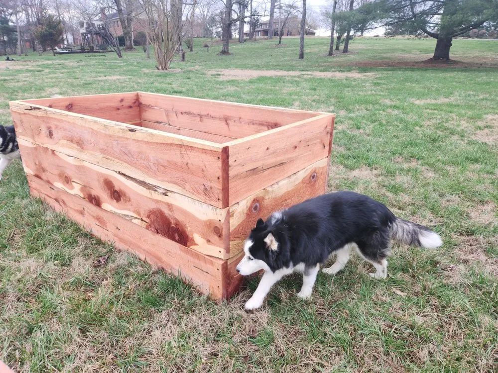 Trusted yard maintenance experts serving Sparta, TN - Mountain-Dog Services