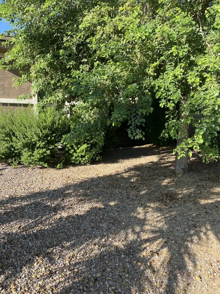 Trusted garden landscaping in Chandler, AZ by Mountain Eagle Landscaping