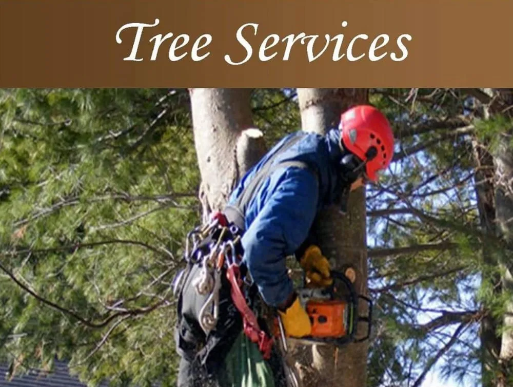 Custom yard cleanup service with custom design in Elko, NV by Mountain Gem Services