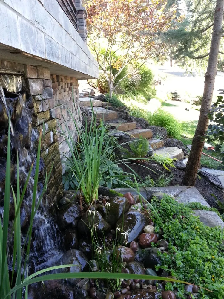 Professional landscape design near you in Eugene, OR by Mountain Goat Landscape