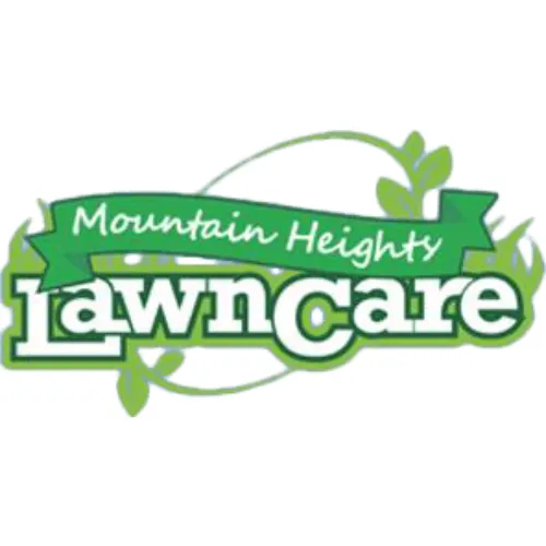 Professional yard cleanup service experts serving Birmingham, AL - Mountain Heights Lawn Care