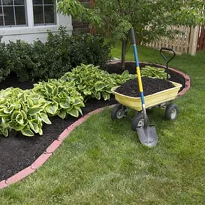 Expert landscaping services for year-round maintenance in Birmingham, AL by Mountain Heights Lawn Care