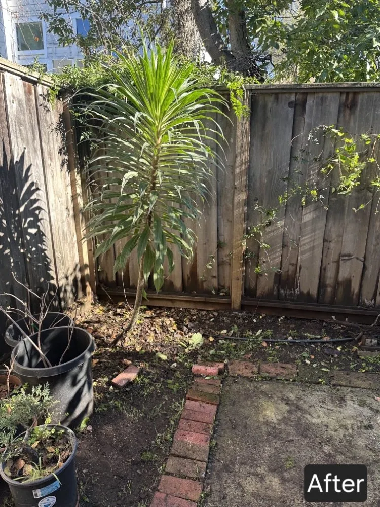 Affordable yard maintenance for residential properties in Rancho Cordova, CA by Mountain Herbs and Spices