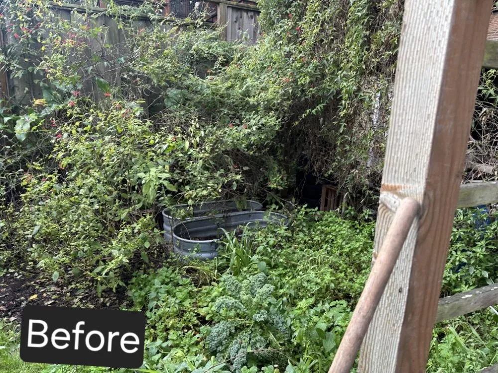 Expert yard maintenance for year-round maintenance across Rancho Cordova, CA - Mountain Herbs and Spices