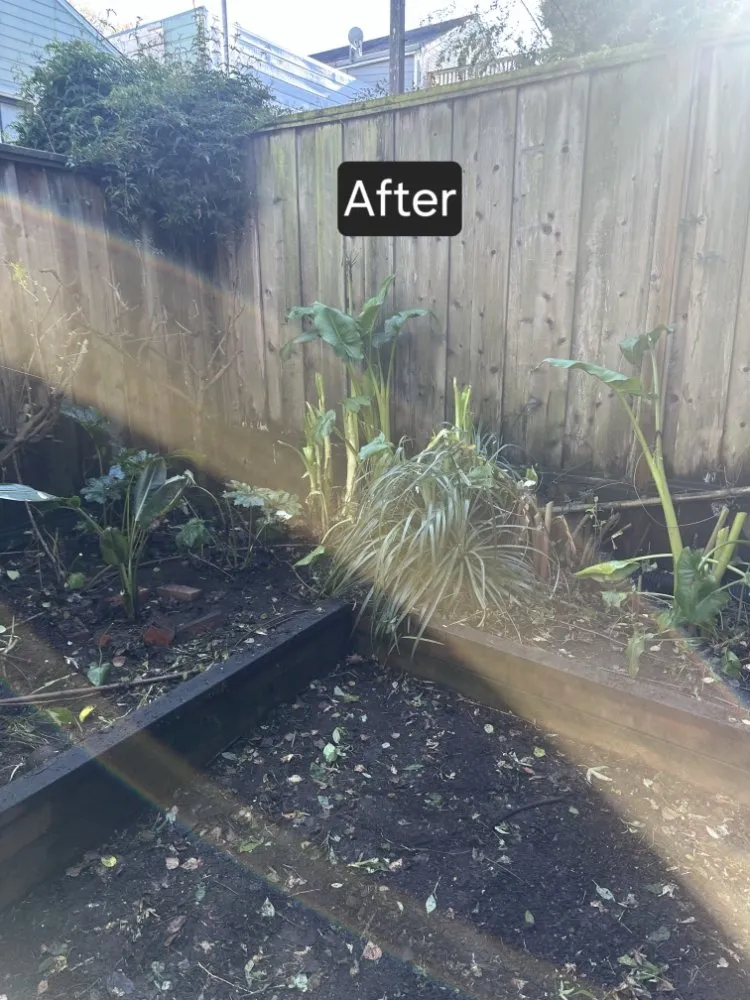 Top-rated landscape design for homes across Rancho Cordova, CA - Mountain Herbs and Spices