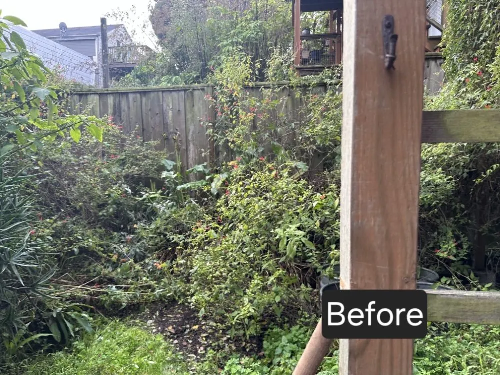 Local outdoor landscaping for year-round maintenance across Rancho Cordova, CA - Mountain Herbs and Spices