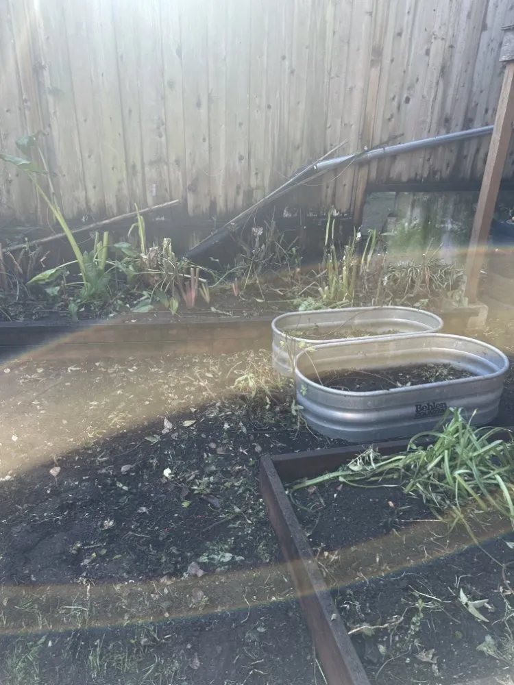 Local lawn care service in Rancho Cordova, CA - Mountain Herbs and Spices