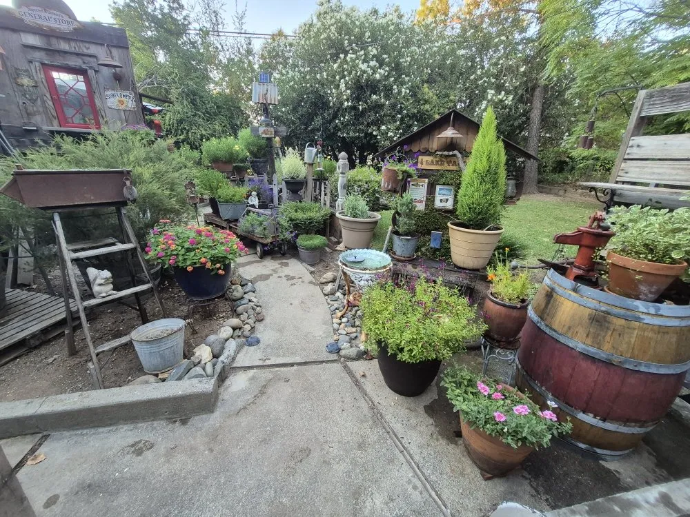 Local yard cleanup service near you in Rancho Cordova, CA by Mountain Herbs and Spices