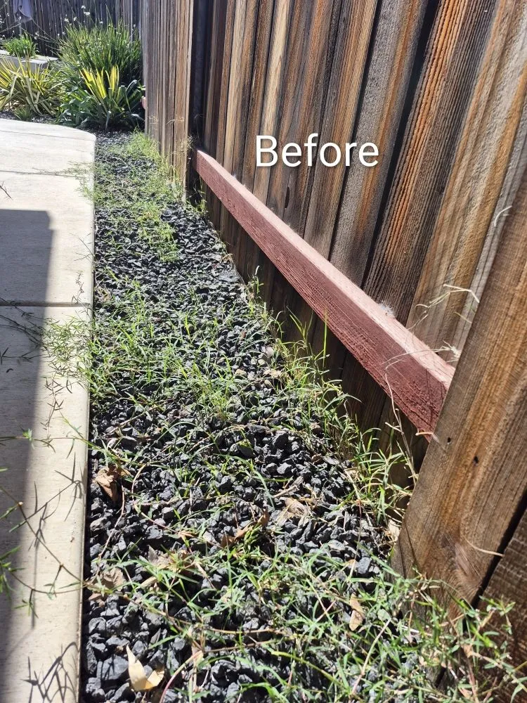 Reliable lawn mowing service for residential properties in Rancho Cordova, CA by Mountain Herbs and Spices