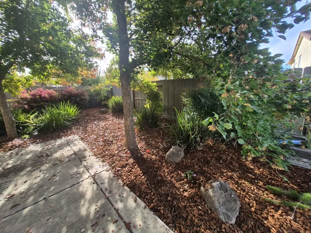 Professional landscaping services in Rancho Cordova, CA by Mountain Herbs and Spices