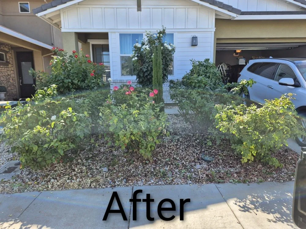 Reliable yard cleanup service for homes in Rancho Cordova, CA by Mountain Herbs and Spices