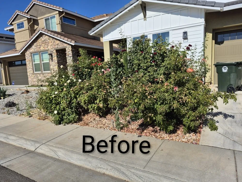 Reliable yard maintenance in Rancho Cordova, CA by Mountain Herbs and Spices