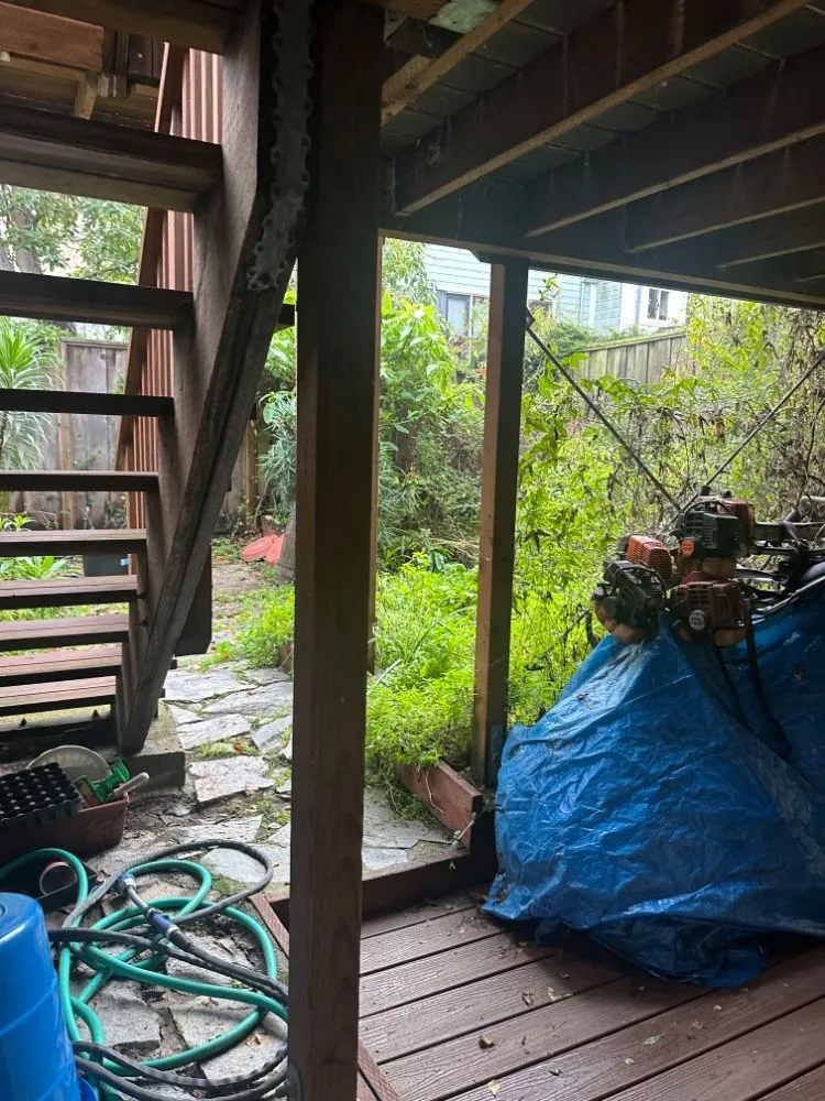 Expert yard maintenance in Rancho Cordova, CA - Mountain Herbs and Spices