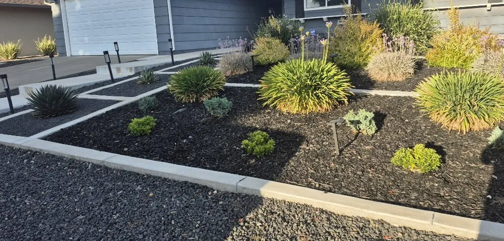 Professional outdoor landscaping for homes across Rancho Cordova, CA - Mountain Herbs and Spices