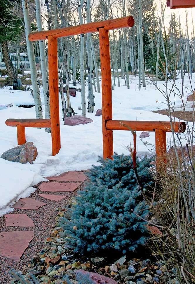 Top-rated yard cleanup service for beautiful yards across Woodland Park, CO - Mountain High Creations