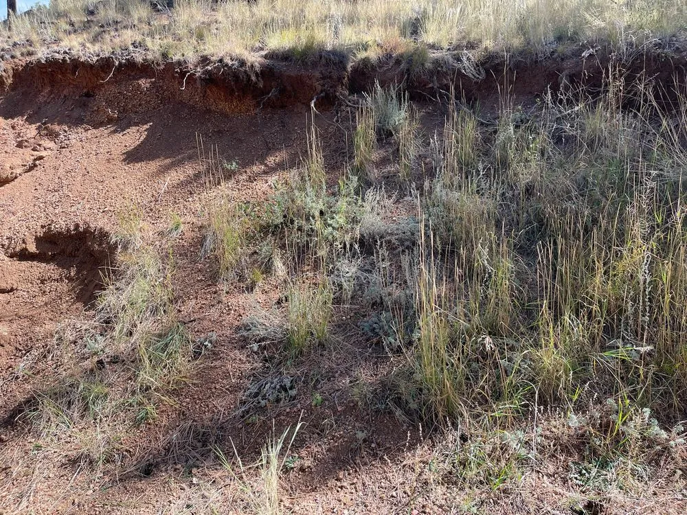 Reliable residential landscaping for homes across Woodland Park, CO - Mountain High Creations