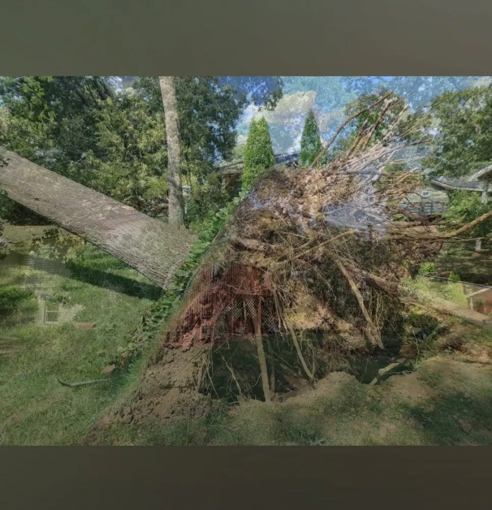 Top-rated landscaping services for beautiful yards in East Hartford, CT by Mountain Hill Lawn Care