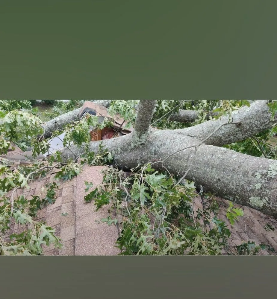 Top-rated outdoor landscaping experts serving East Hartford, CT - Mountain Hill Lawn Care