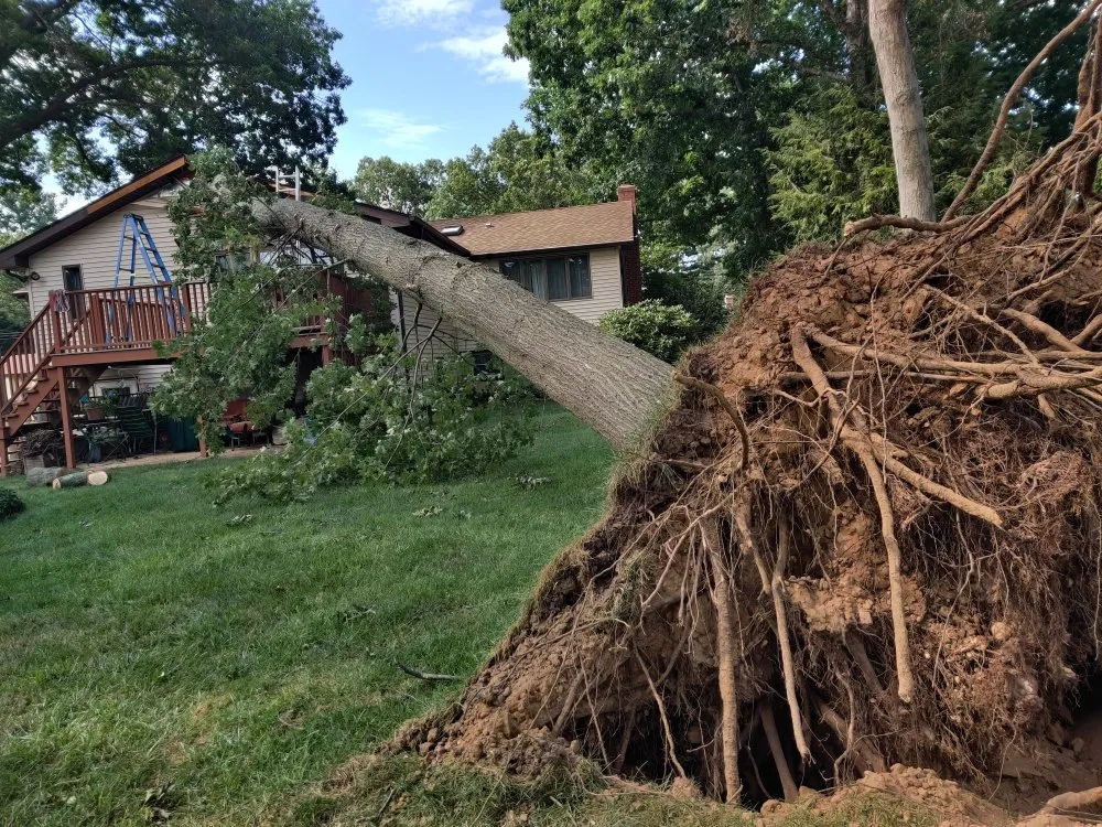 Affordable landscape design in East Hartford, CT by Mountain Hill Lawn Care