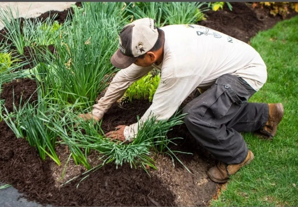 Local yard maintenance in East Hartford, CT by Mountain Hill Lawn Care