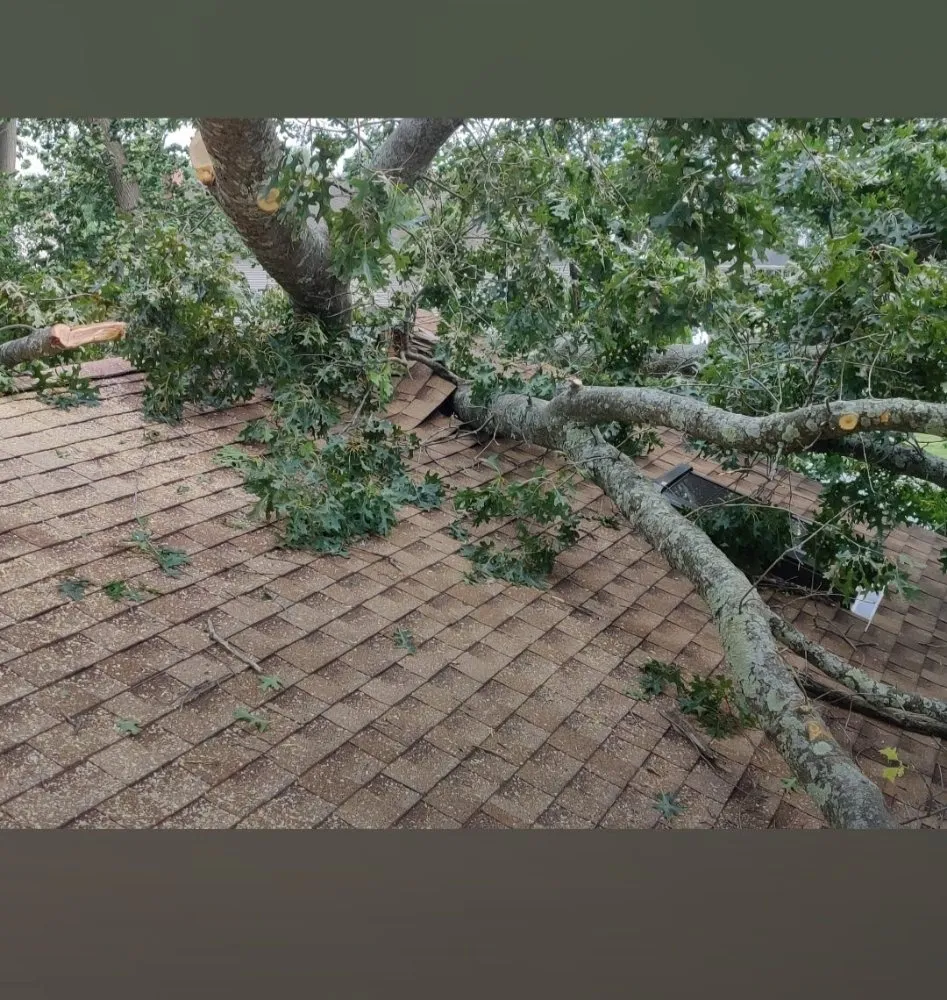 Local lawn care service for outdoor upgrades in East Hartford, CT by Mountain Hill Lawn Care