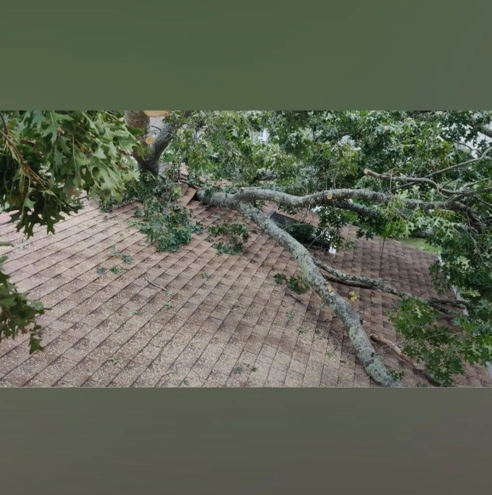 Custom lawn care service experts serving East Hartford, CT - Mountain Hill Lawn Care