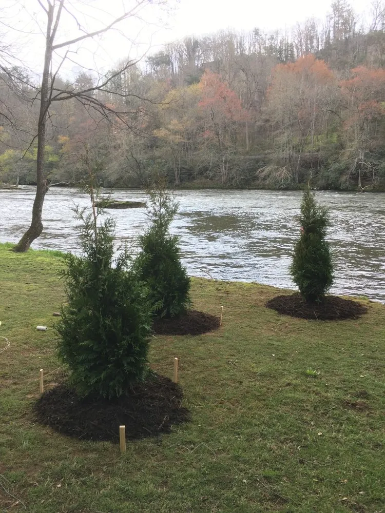 Reliable yard cleanup service in Sylva, NC - Mountain Home & Lawn