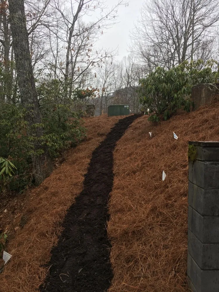 Local yard maintenance experts serving Sylva, NC - Mountain Home & Lawn