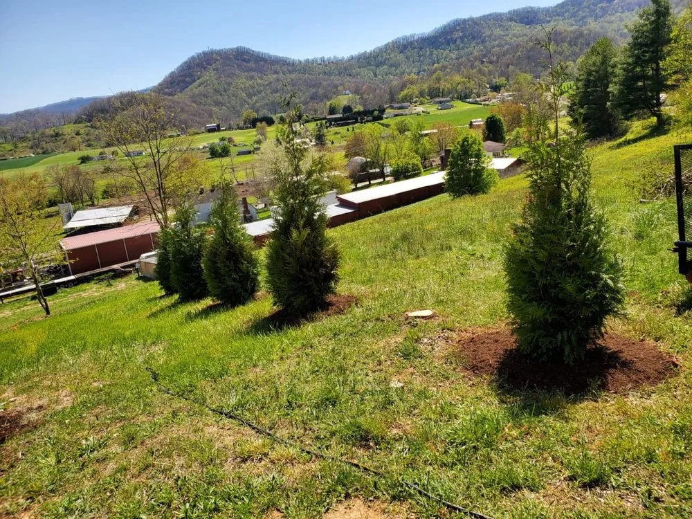 Local outdoor landscaping experts serving Sylva, NC - Mountain Home & Lawn