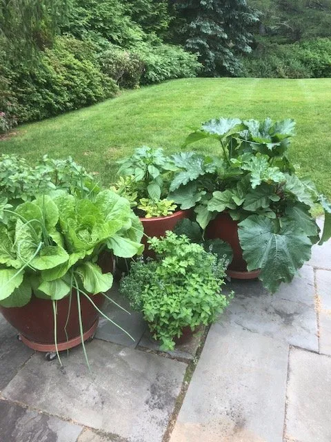 Top-rated landscape design with custom design across Williamstown, MA - Mountain Home Landscape