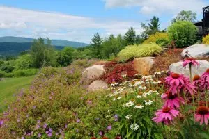 Affordable landscape installation experts serving Williamstown, MA - Mountain Home Landscape
