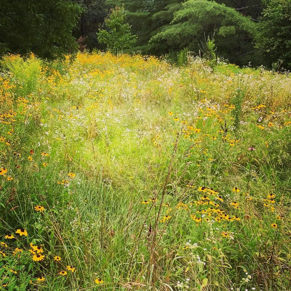 Top-rated garden landscaping in Williamstown, MA - Mountain Home Landscape