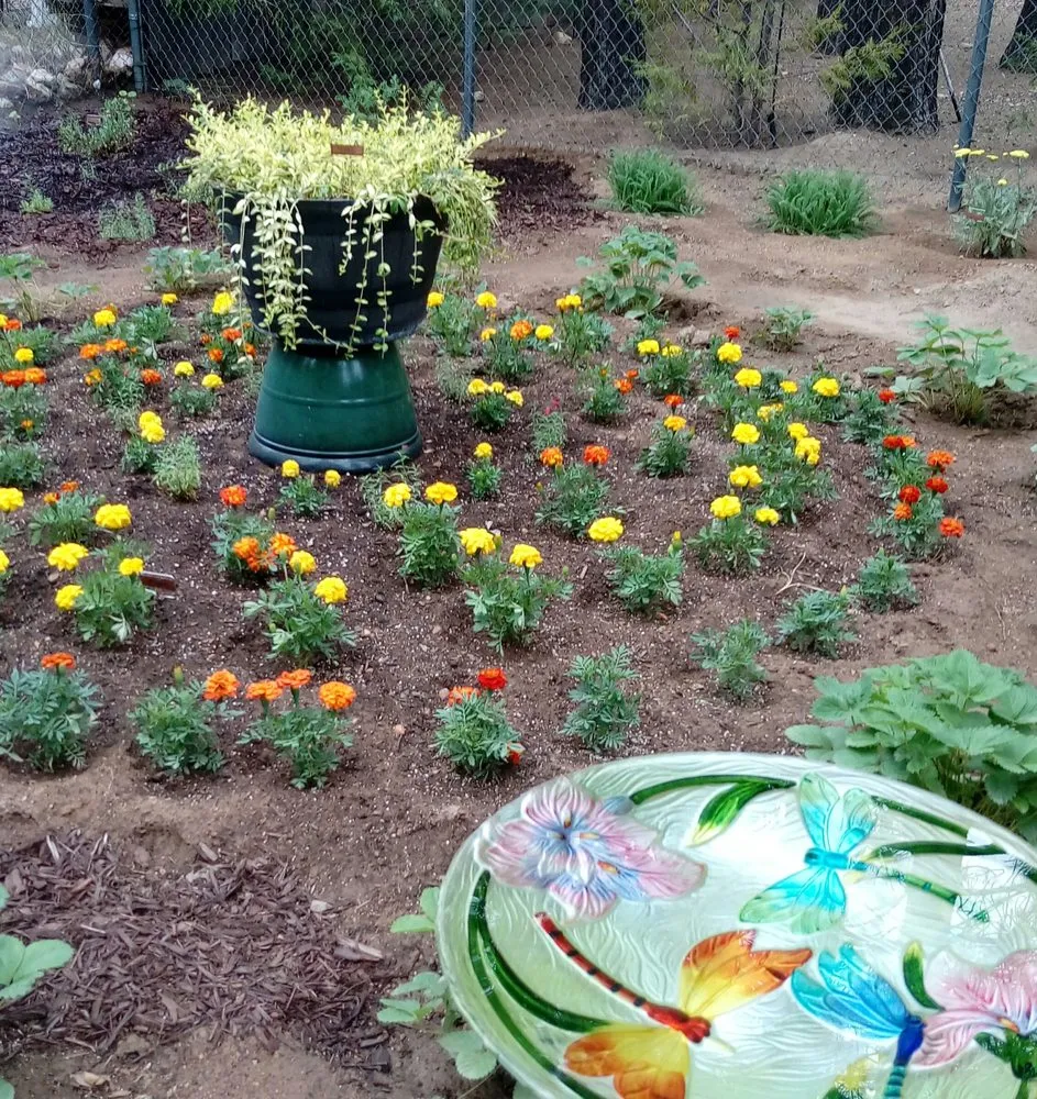 Reliable outdoor landscaping for beautiful yards across Big Bear Lake, CA - Mountain homesteaders