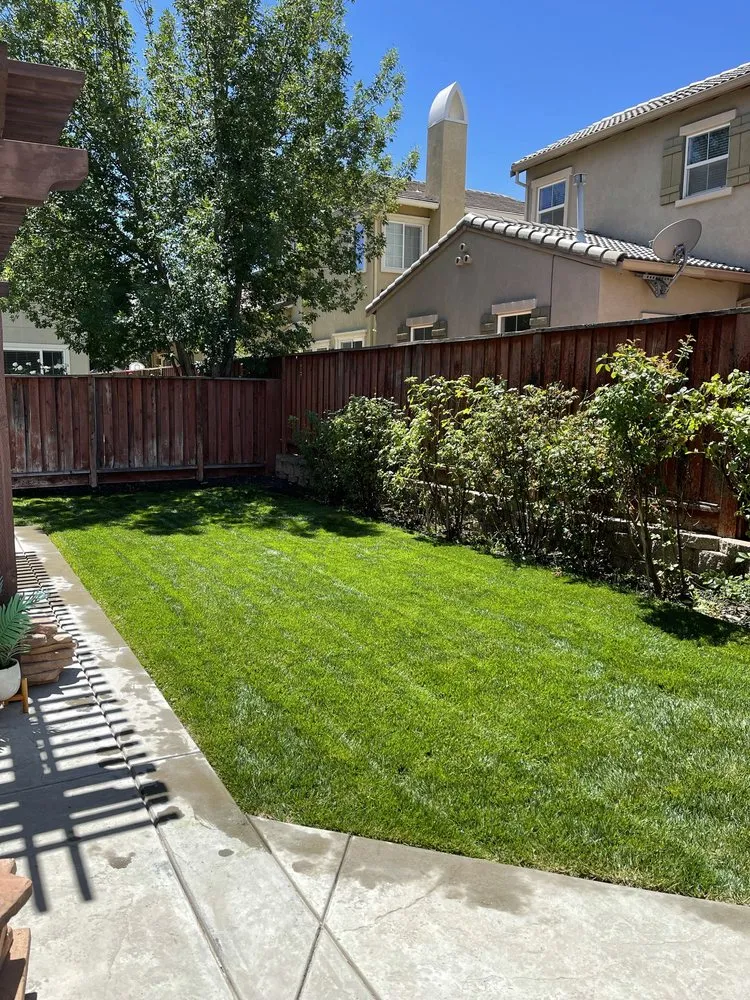 Top-rated yard maintenance for residential properties in Tracy, CA by Mountain House Landscaping