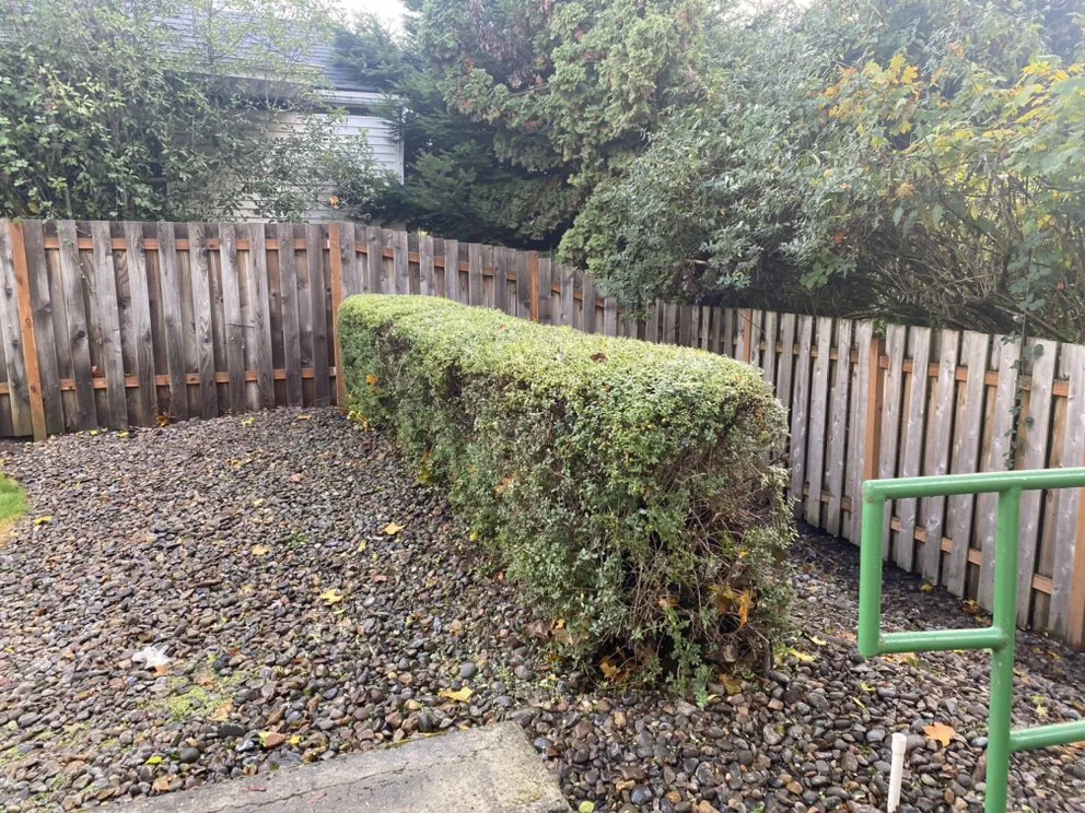 Expert landscape installation experts serving Salem, OR - Mountain Landscape